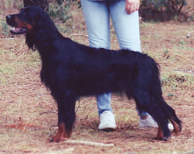 JADE DES RIEUX  EN  VALDAINE