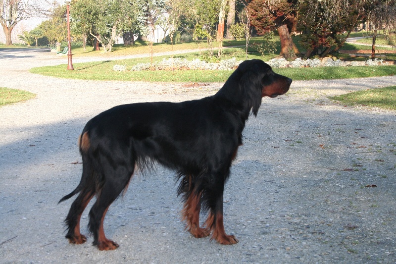 UKAYALI  DES RIEUX EN VALDAINE